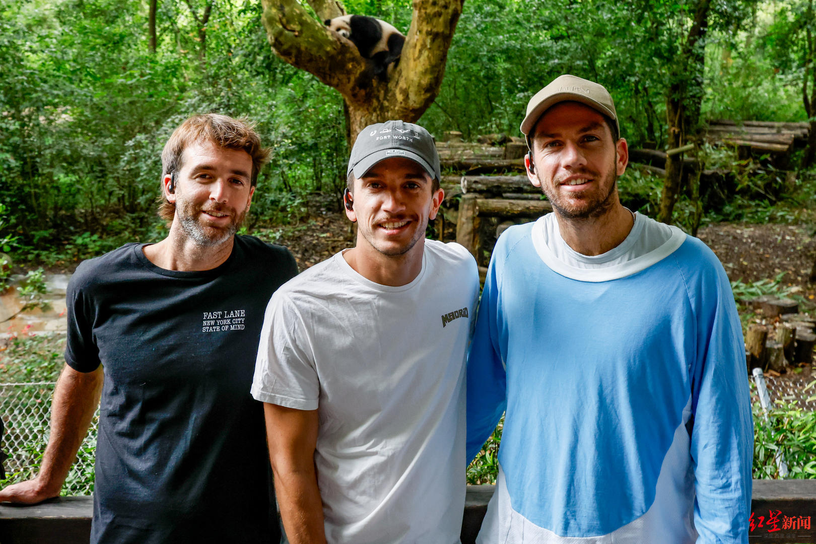 img, 寺毗邻而建, 平台看到成 img, 寺毗邻而建, 平台看到成