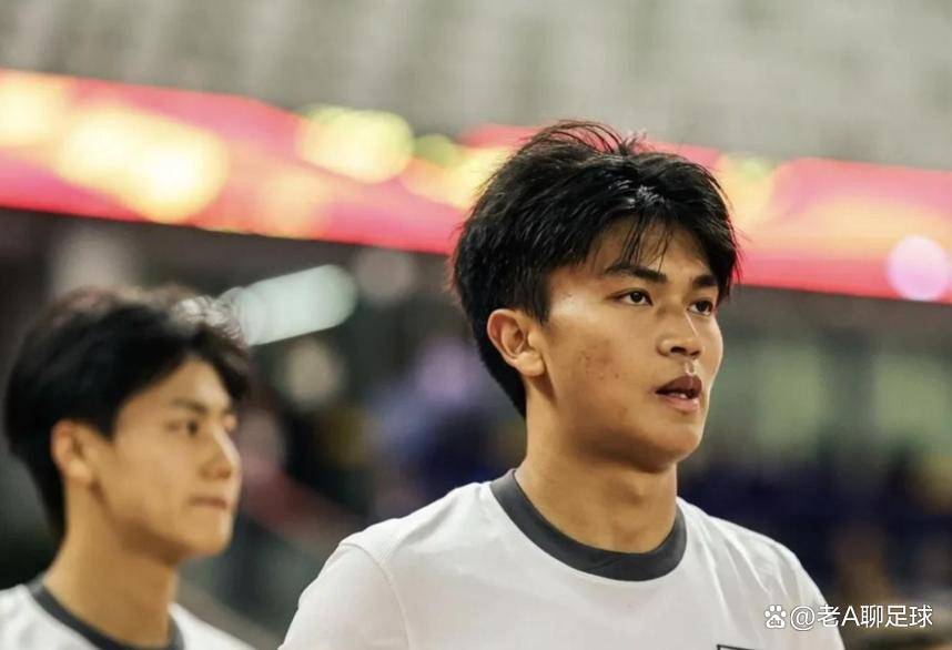 凉风裹着草, style